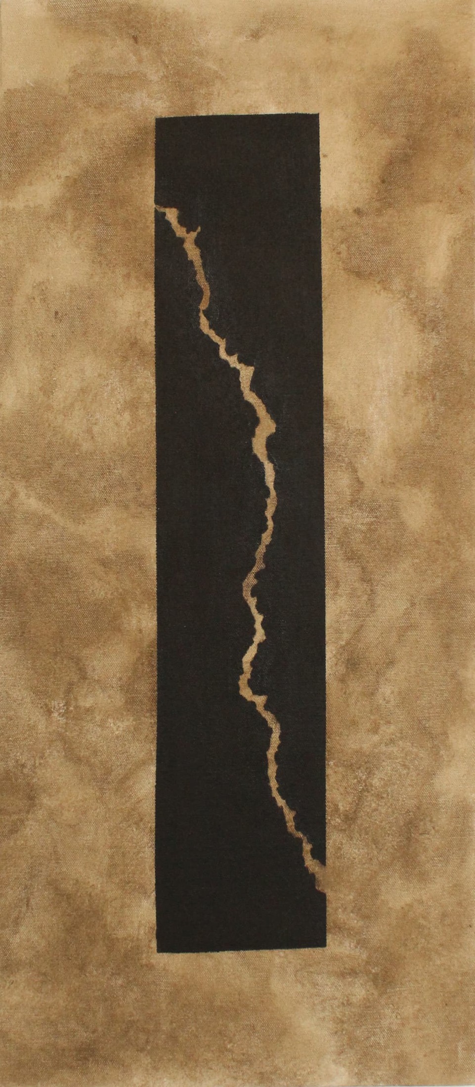 Black-Back